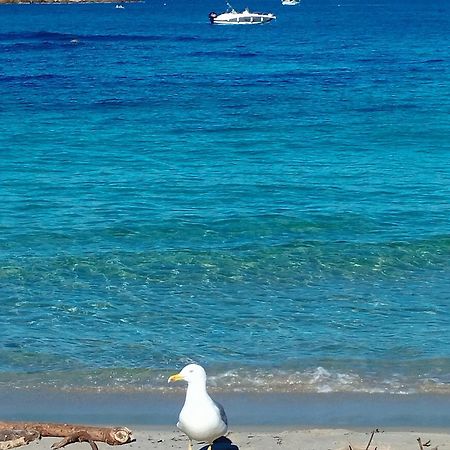 Studio 4P Vue Mer Calme Cap Esterel Saint-Raphael  Bagian luar foto
